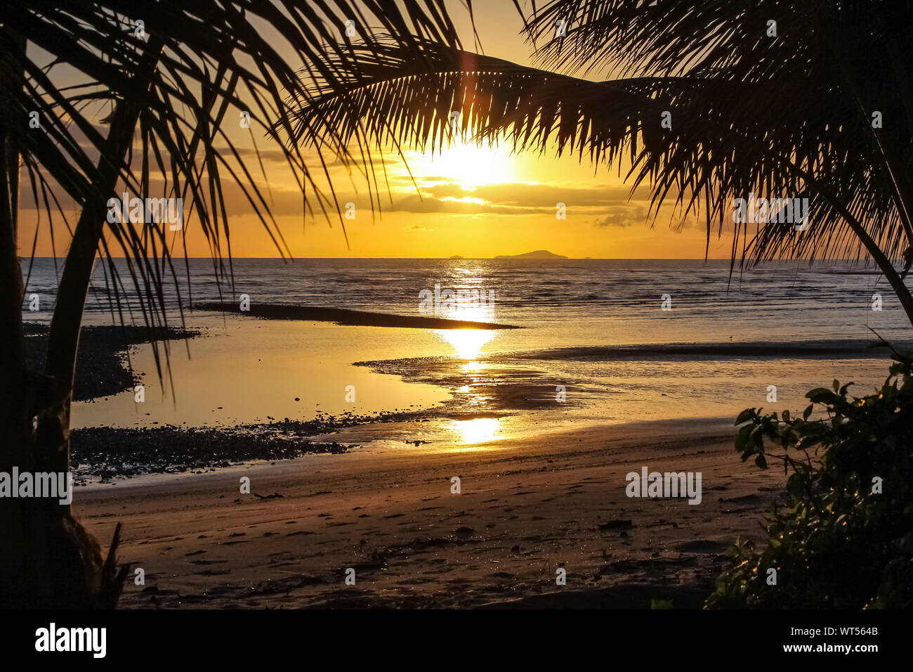 Sunset under Palm trees on a Tropical beach in Queensland, Australia Stock Photo