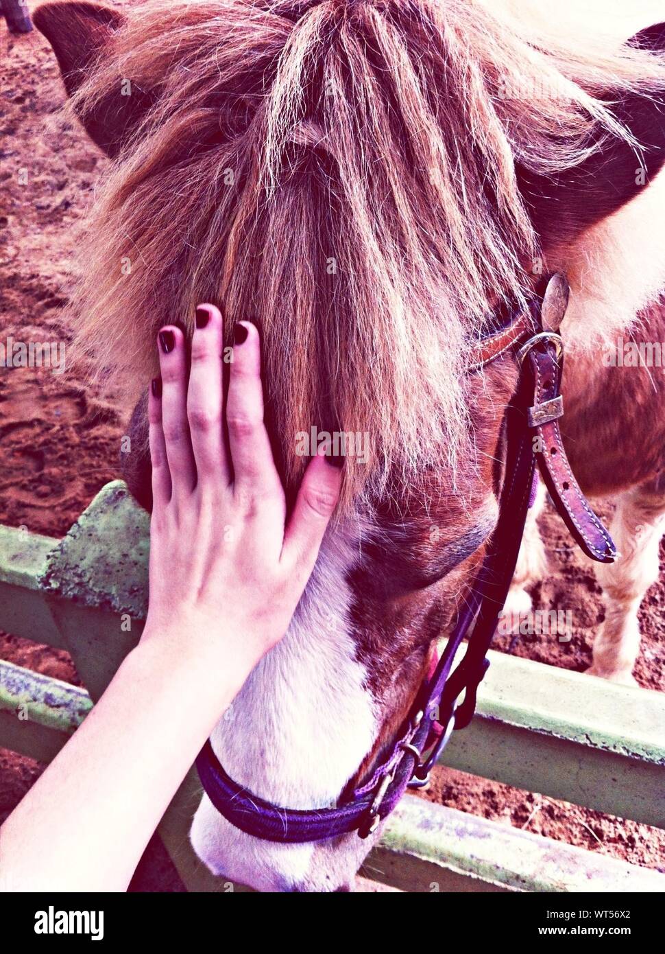 Hand touching head hi-res stock photography and images - Alamy