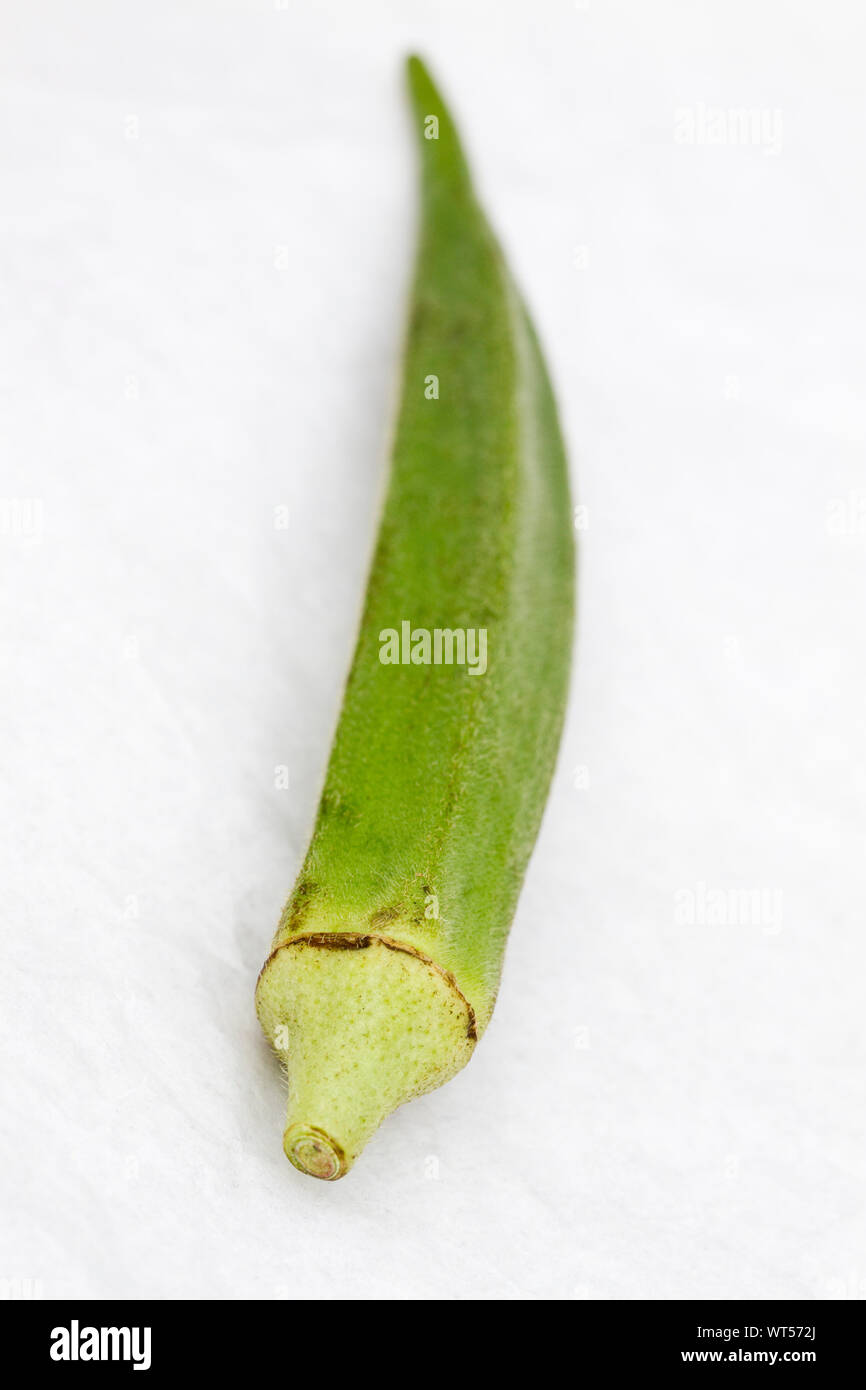 Okra Stock Photo