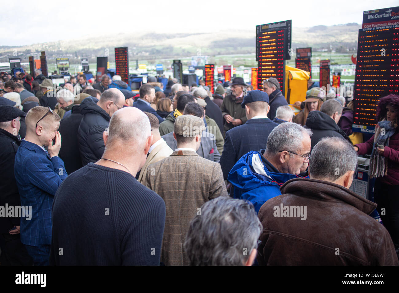 Crowds gather at the world famous Cheltenham festival. The Uk's premier ...