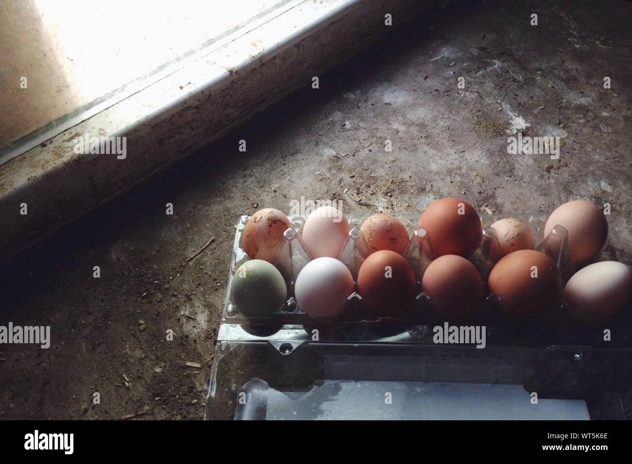 Variety Of Eggs In Crate Stock Photo Alamy