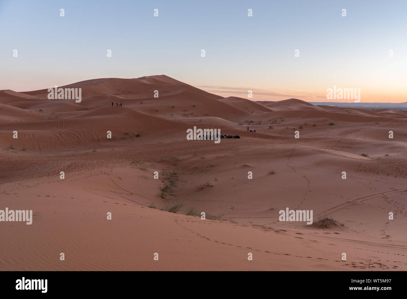 Gorgeous and scenic desert scene with the moon crescent high above beautiful sand dunes Erg Chebbi, Morocco, Merzouga Stock Photo