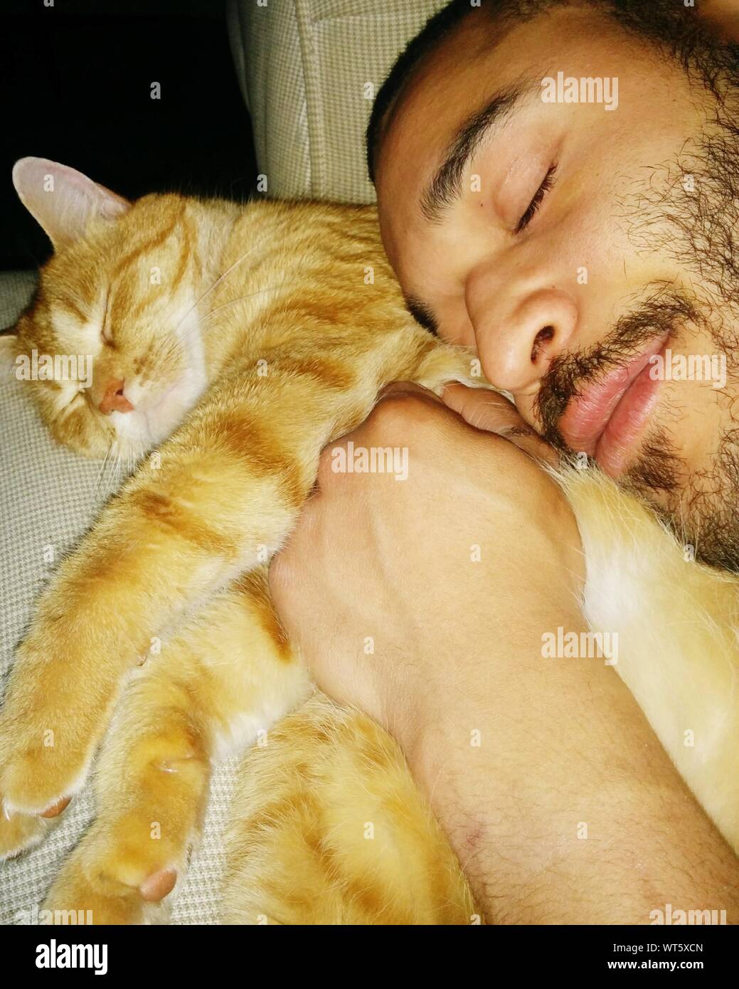 Sleeping man sleeping cat hires stock photography and images Alamy