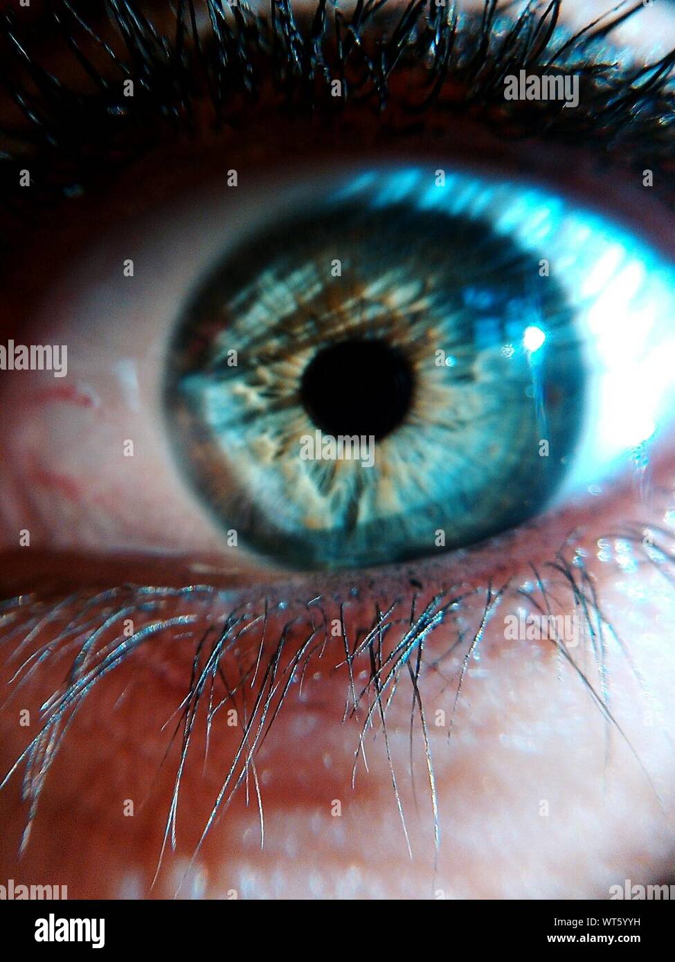 Human eye macro hires stock photography and images Alamy