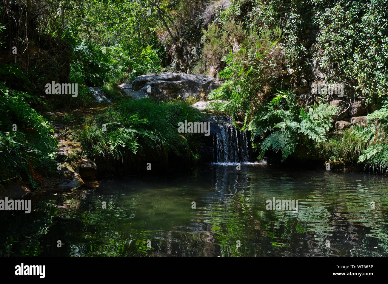 Waterfall in the forests of Carvalhais. Sao Pedro do Sul, Portugal Stock Photo