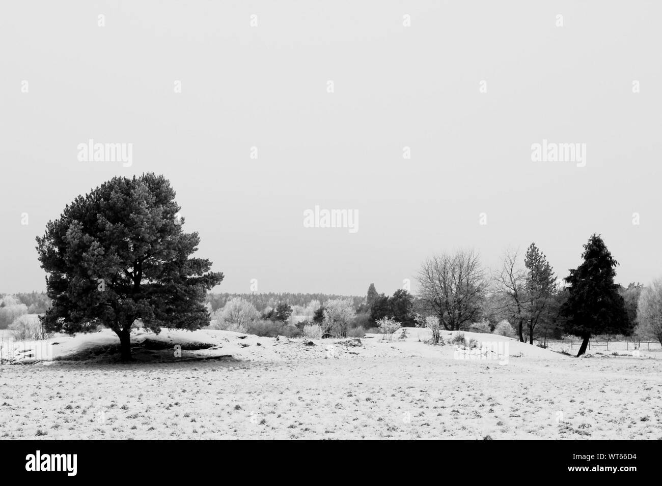 Beautiful scenery and scenery Black and White Stock Photos & Images - Alamy