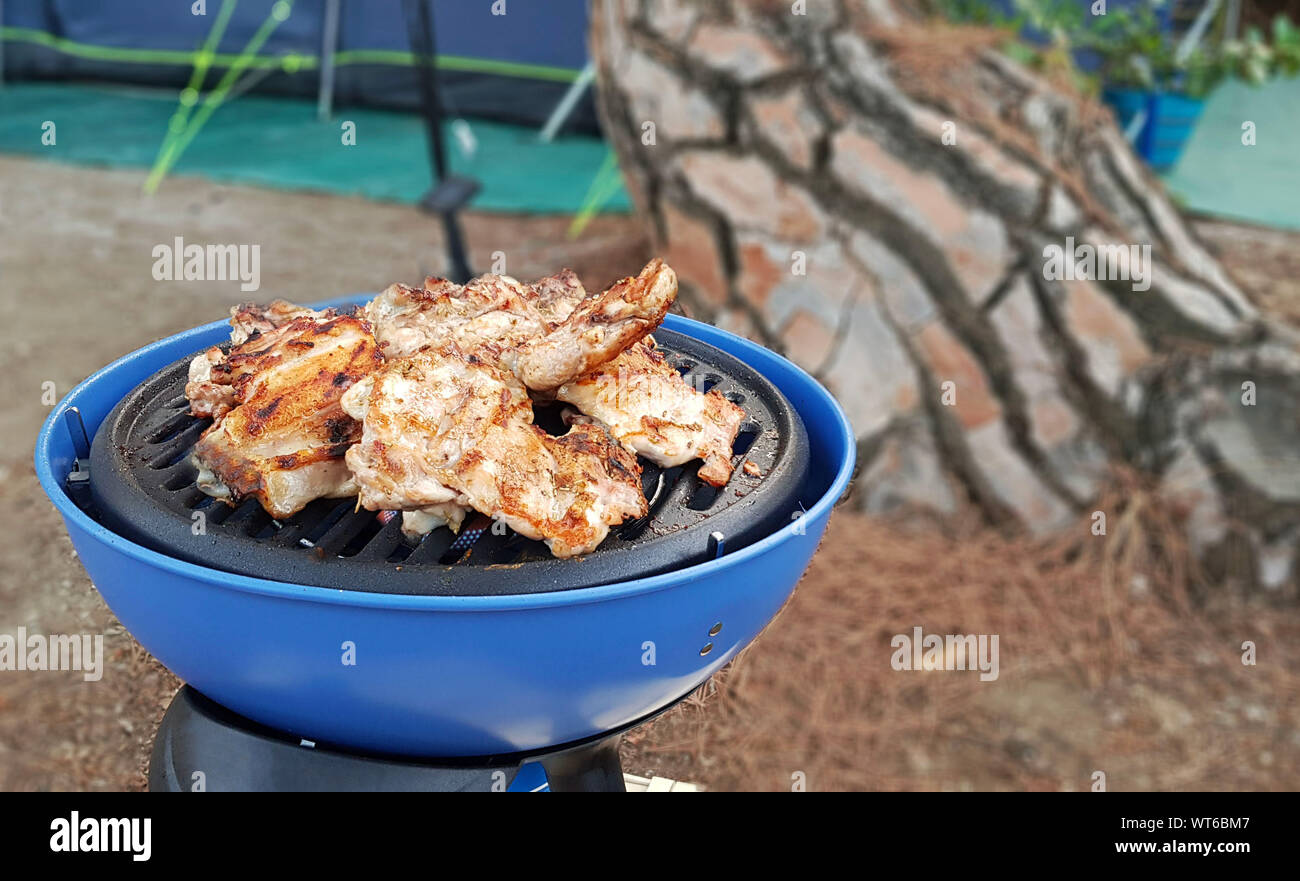 Campsite grill online