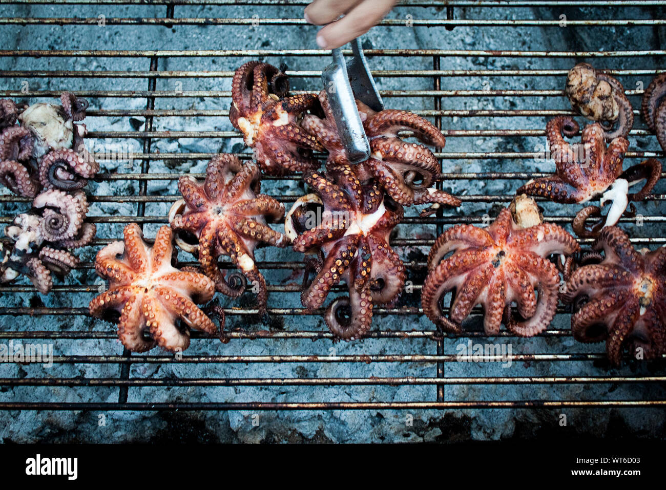 Cropped Image Of Hand Cooking Octopus On Barbecue Stock Photo