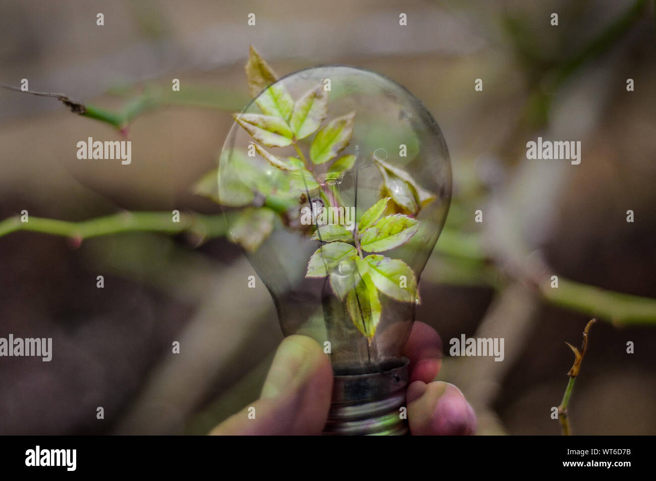 Bulb exposure hires stock photography and images Alamy