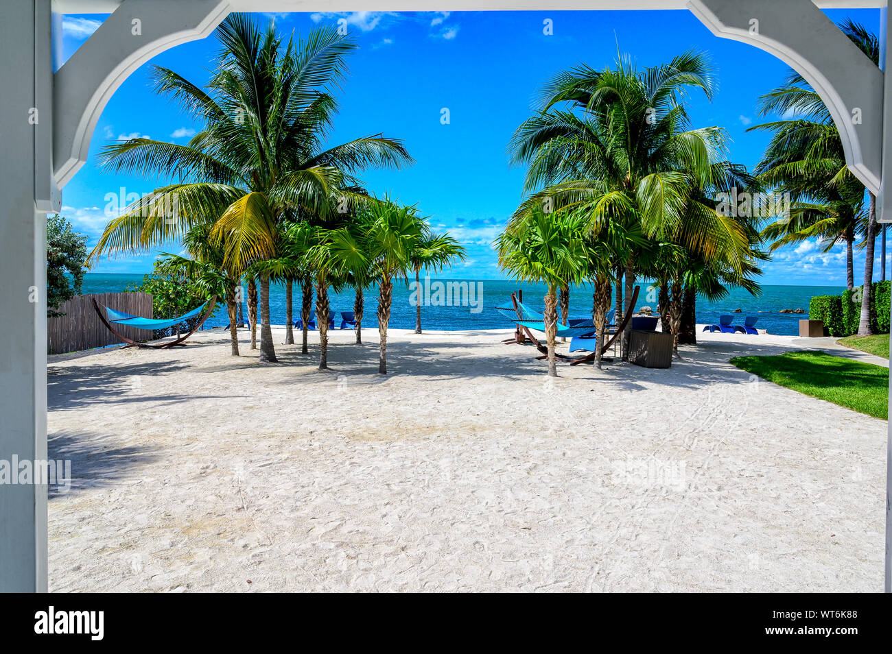 Empty hammocks between palm trees on a quiet tropical beach in the
