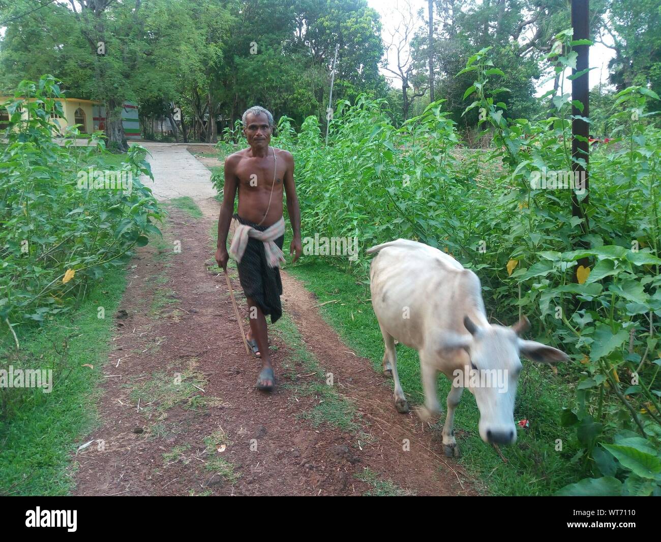 Indian man walking to camera hi-res stock photography and images - Alamy