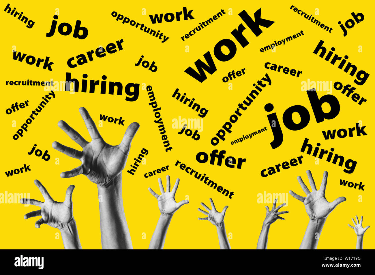 Job opportunity jobs of graphic design