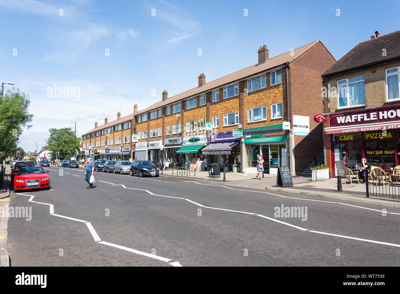 Large Bushy Area Telegraph