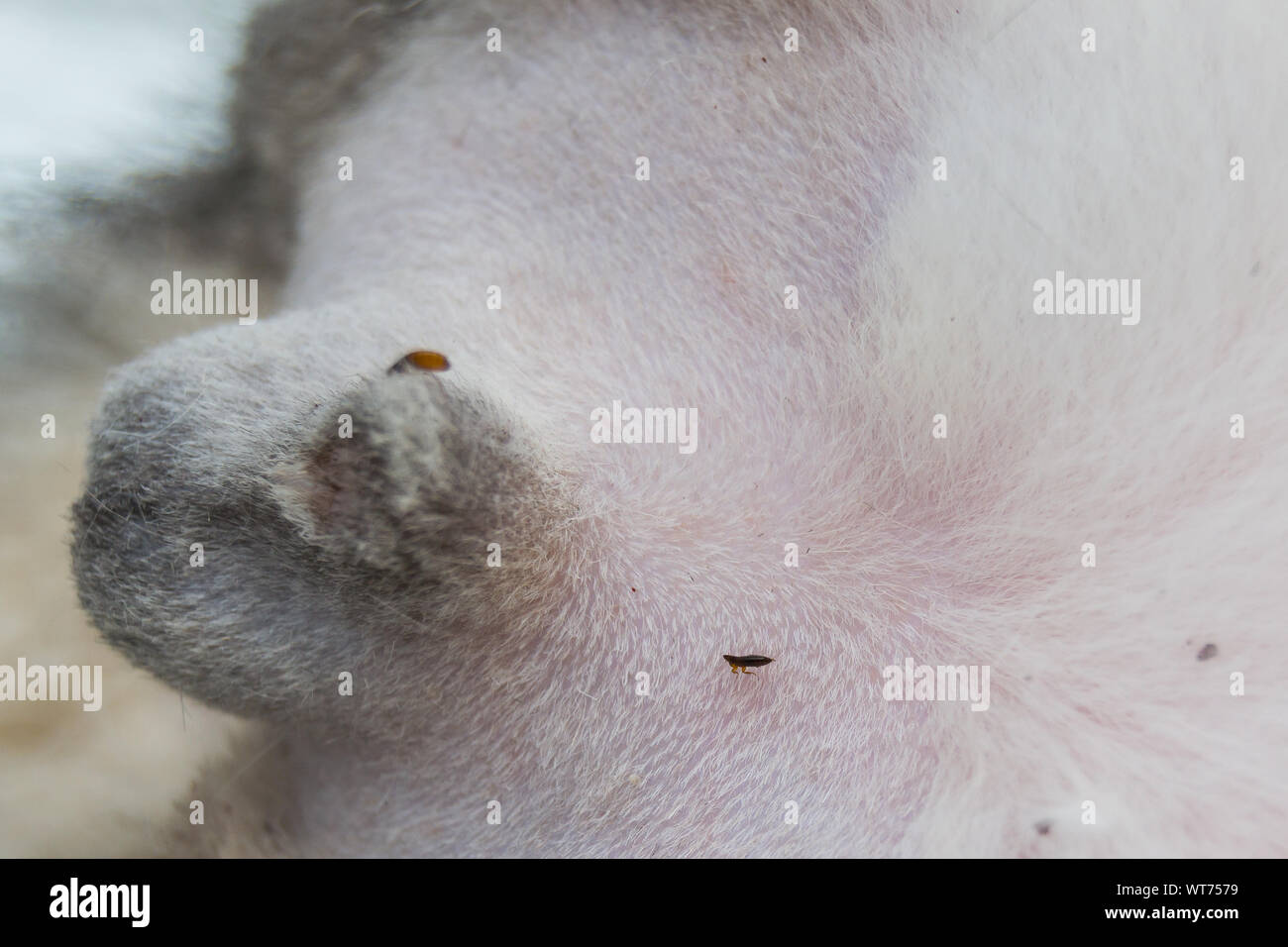Gallery image with a fresh perspective