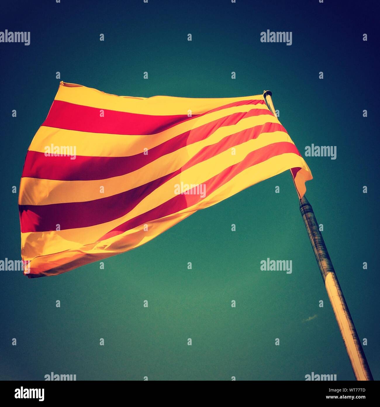 Low-angle View Of Catalonian Flag Stock Photo