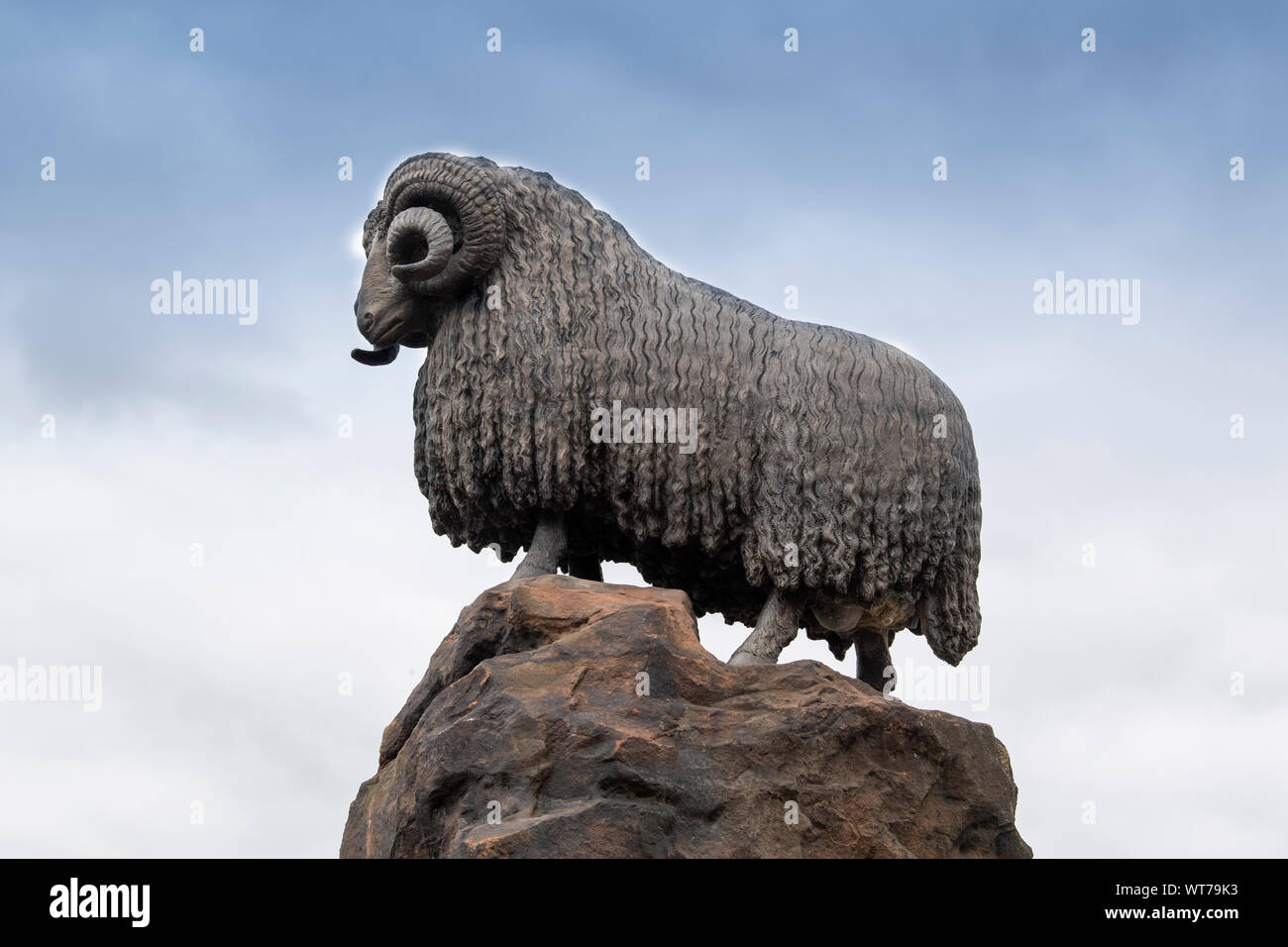 Moffat ram scotland hires stock photography and images Alamy