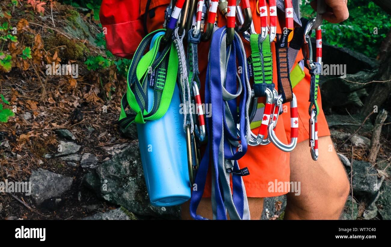 Green harness hi-res stock photography and images - Alamy