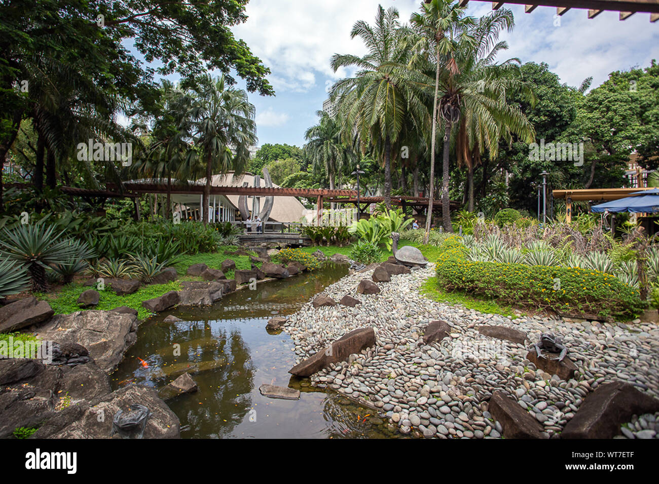 Gardens and skyscrapers at Greenbelt Park, in Ayala, Makati, Metro Manila,  The Philippines Stock Photo - Alamy