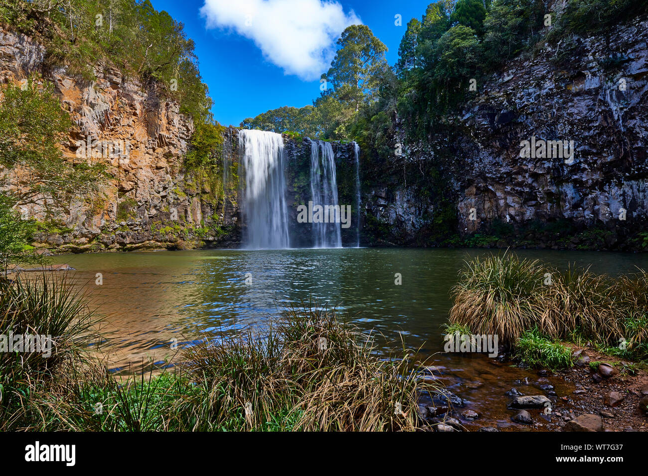 Dangar Falls a cascade waterfall on the Bielsdown river in the Dorrigo National Park, Dorrigo near Coffs Harbour, New South Wales, Australia Stock Photo