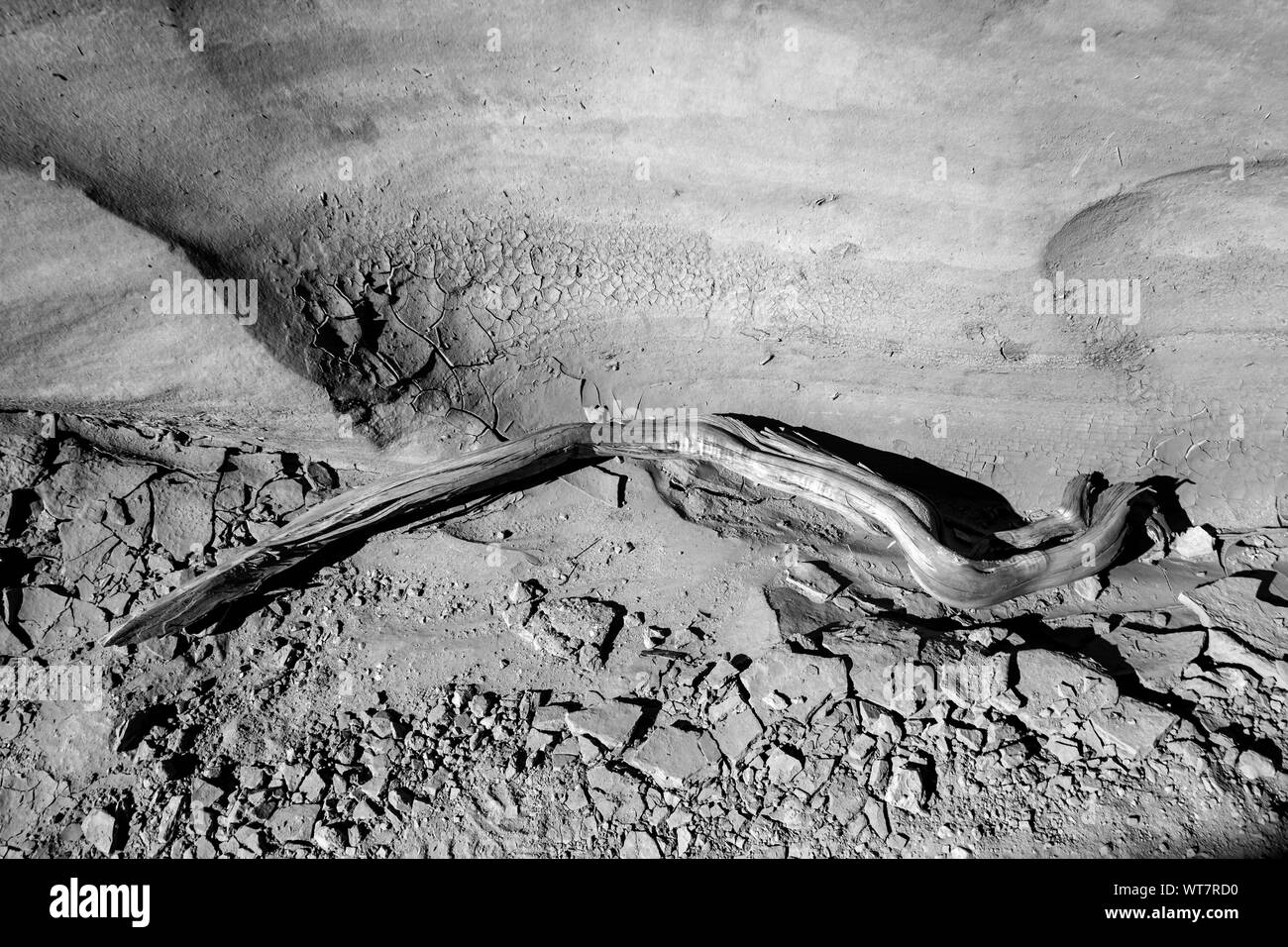 Dried clay soil Black and White Stock Photos & Images - Alamy