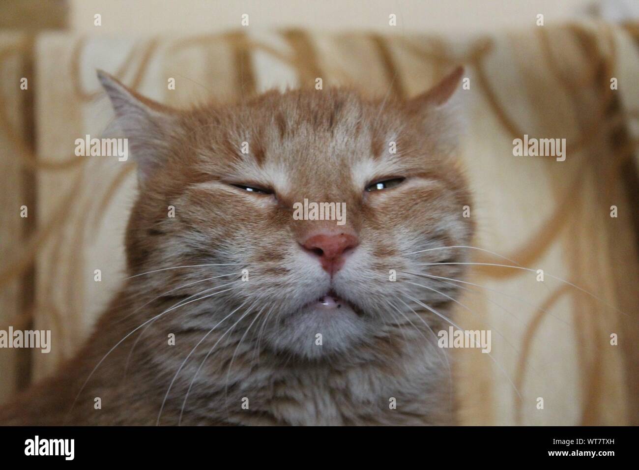 One eyes closed hires stock photography and images Alamy