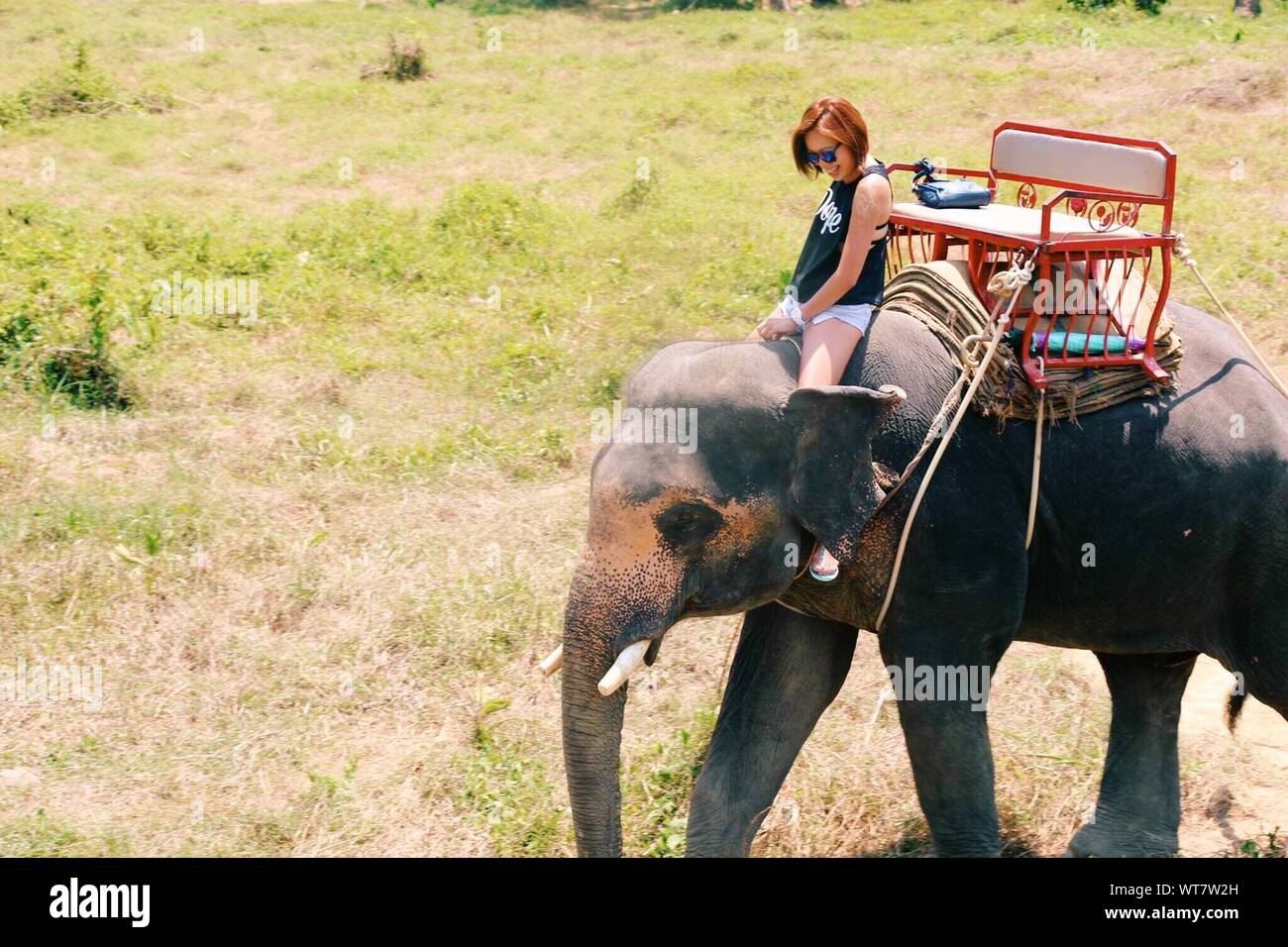 Young Woman Riding Elephant High Resolution Stock Photography and Images Alamy