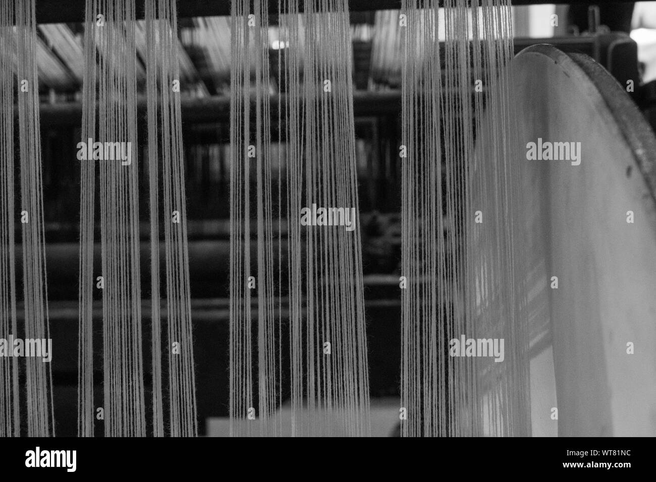 Warp Threads on Loom Stock Photo Alamy
