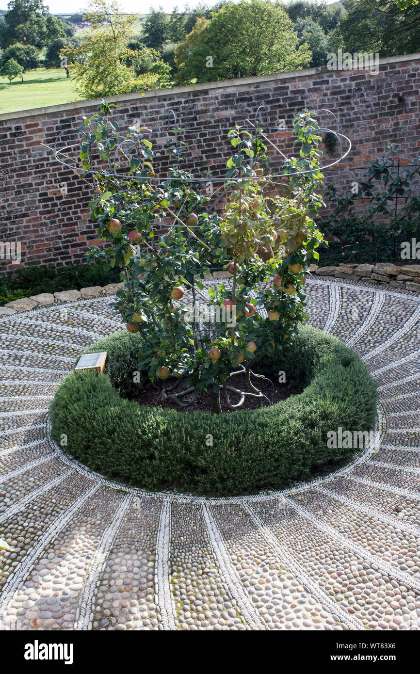 Espalier in the Gym without People Stock Image - Image of train