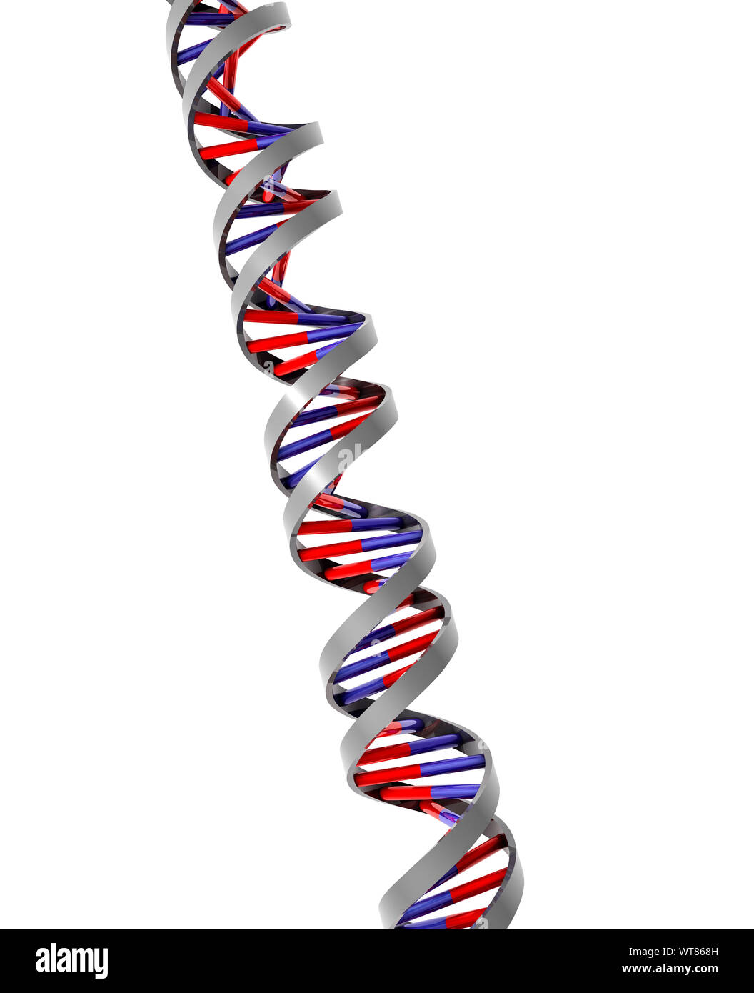 DNA double helix molecular strand model Stock Photo