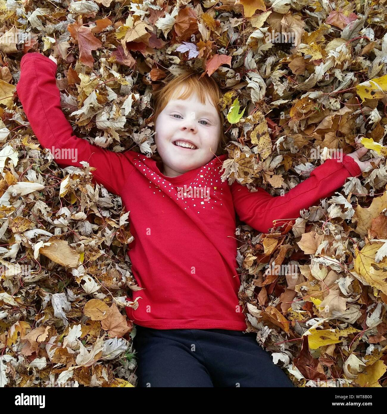 High Angle View Portrait Of Happy Girl Lying On Autumn Leaves Stock ...