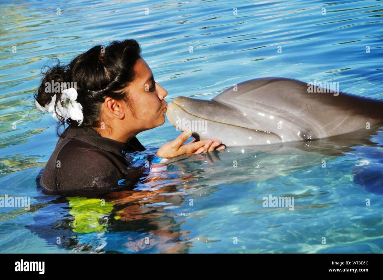 Side View Of Young Woman Kissing Dolphin In Sea Stock Photo