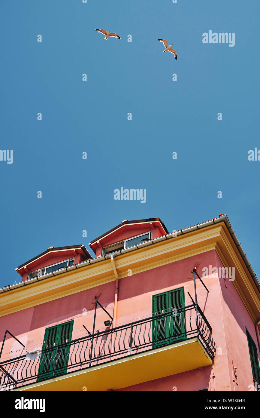 Summer holiday apartment - Colourfully painted house and seagulls on the waterfront of Imperia on the Italian Riviera in the summer. Stock Photo