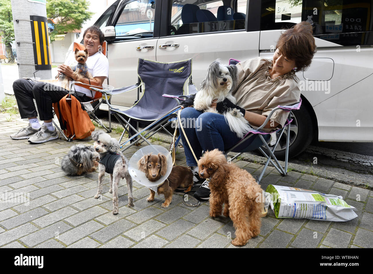 Japanese dogs with owners Karuizawa City Japan Stock Photo Alamy