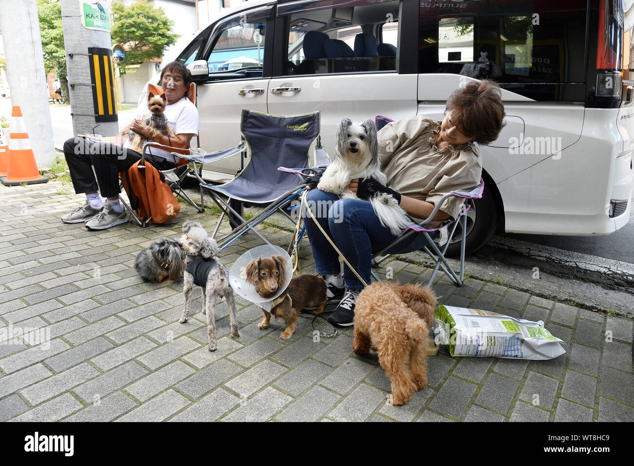 Japanese dogs with owners Karuizawa City Japan Stock Photo Alamy