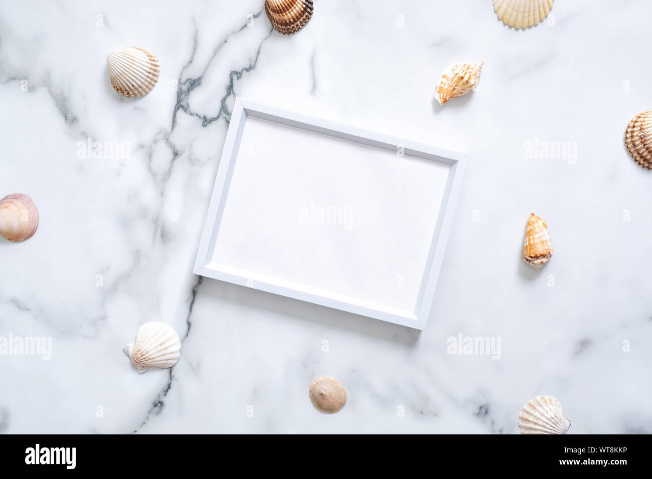 Sea shells and blank picture frame with copy space for your text on marble background. Summer vacation concept. Flat lay, top view, overhead. Stock Photo