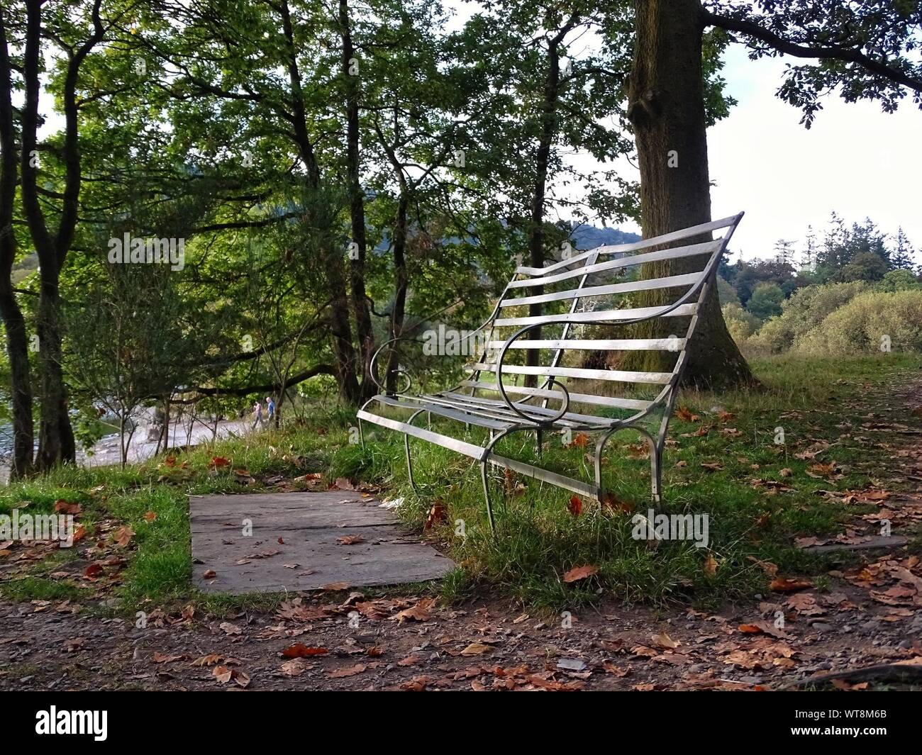 Fallen Tree Park Seat People Stock Photos Fallen Tree Park