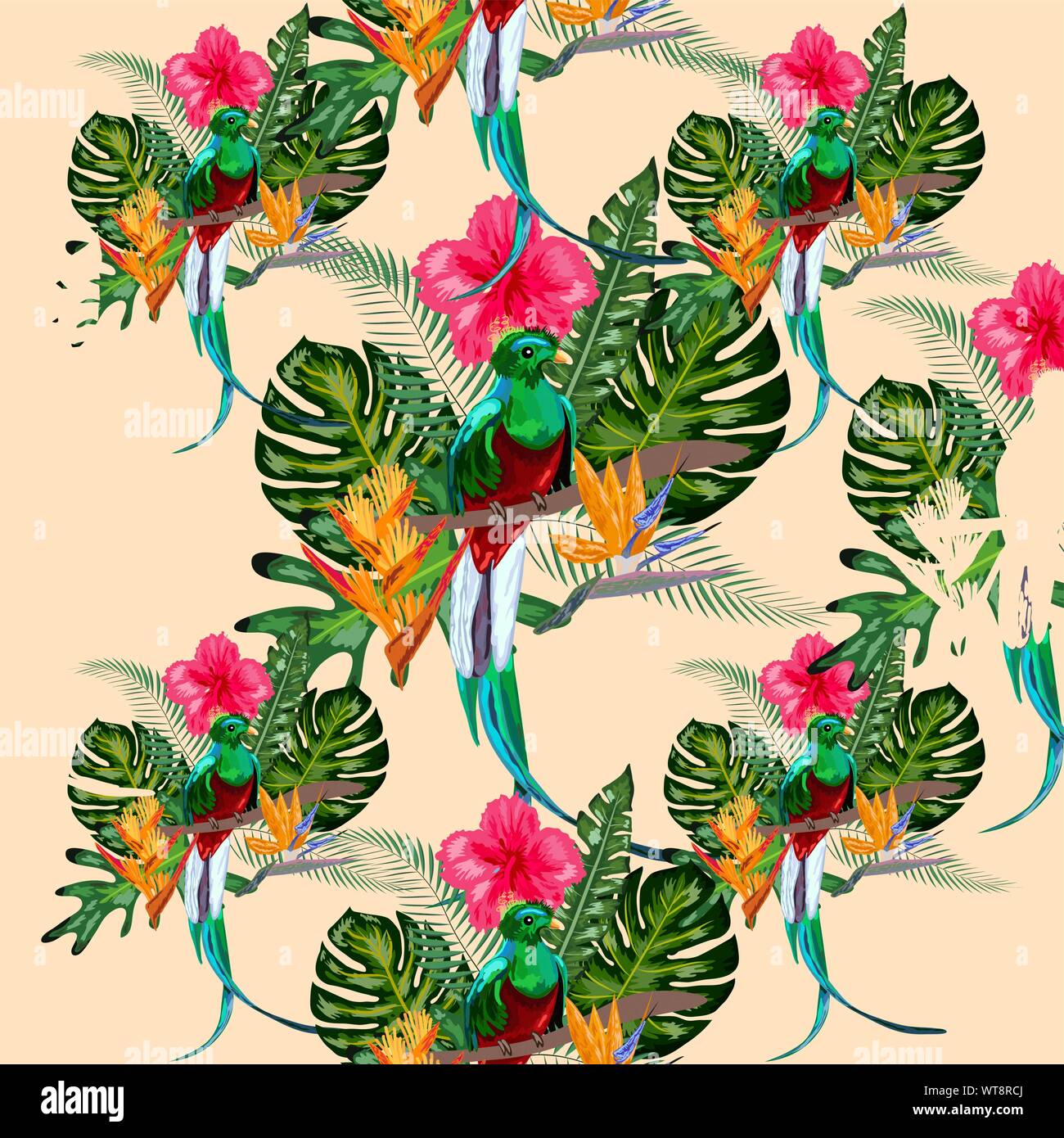 Resplendent birds Stock Vector Images - Alamy