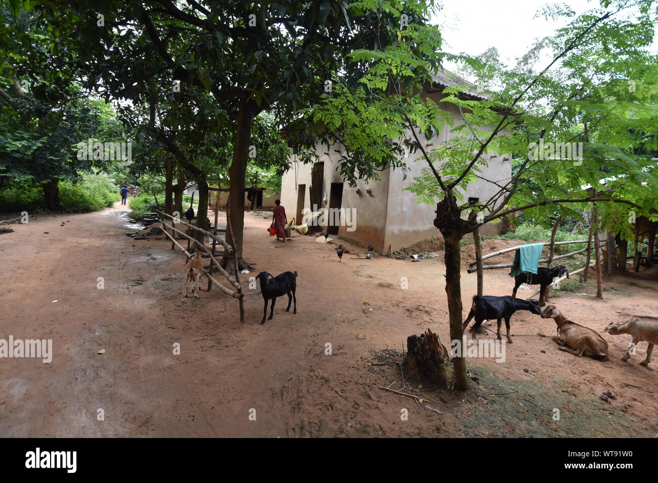 Two-story mud house with countryside road. Village Banstala, Jhargram, West Midnapore, India. Stock Photo