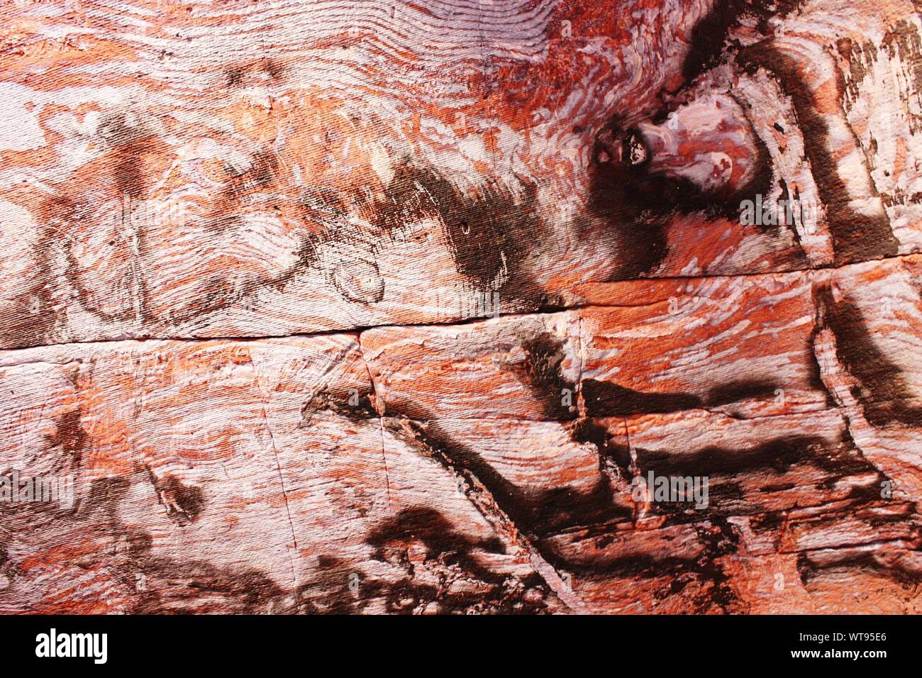 Old petrified wood hires stock photography and images Alamy