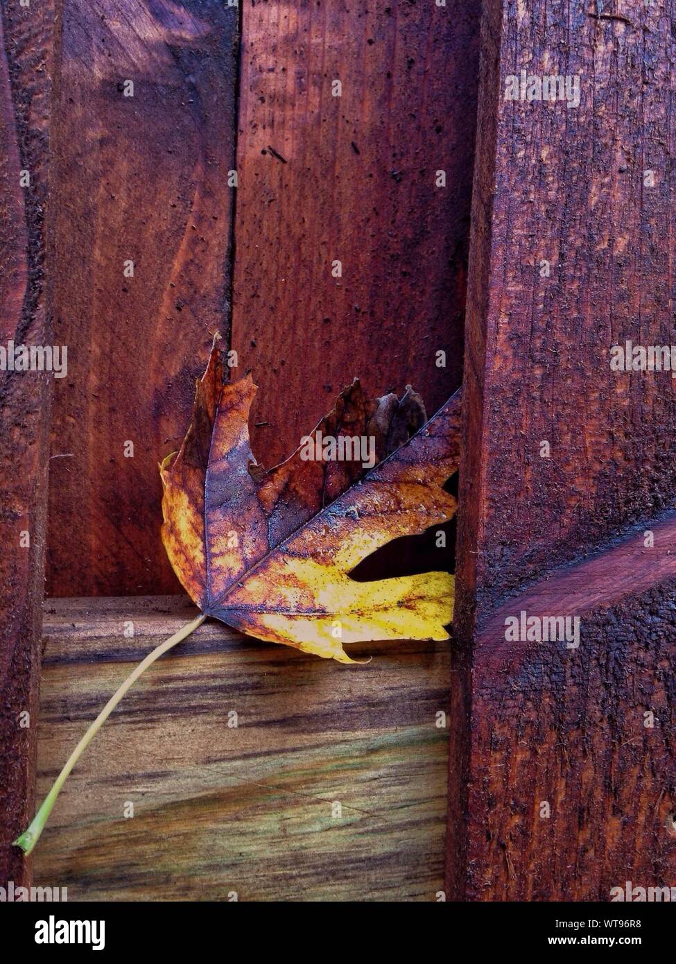 People stuck door hires stock photography and images Alamy