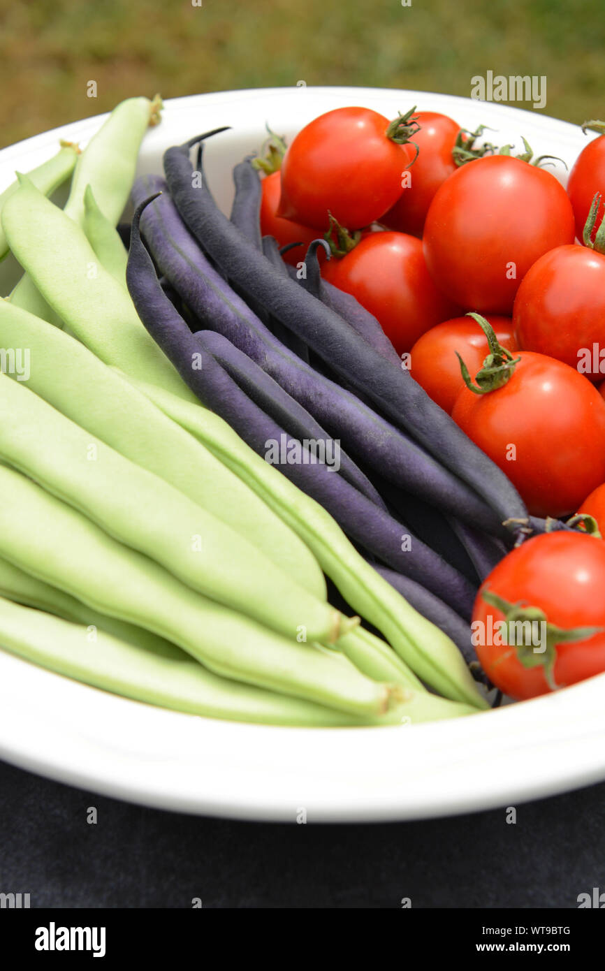 Yin yang beans, purple French beans and ripe Red Alert tomatoes in a white ceramic dish Stock Photo