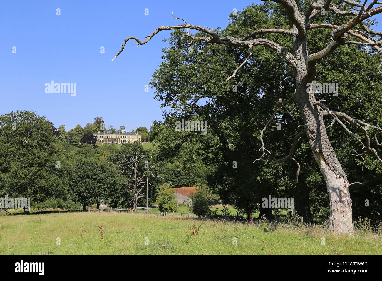 Polesden Lacey (from PRW), Great Bookham, Dorking, Surrey Hills, North Downs, England, Great Britain, United Kingdom, UK, Europe Stock Photo