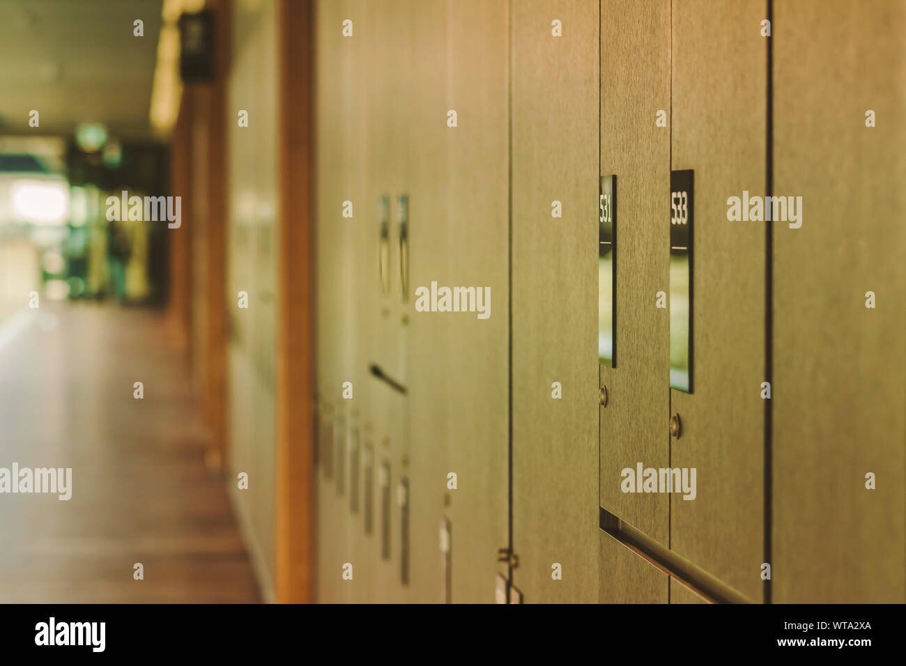 Lockers room for storing musical instruments in music schools Stock Photo Alamy