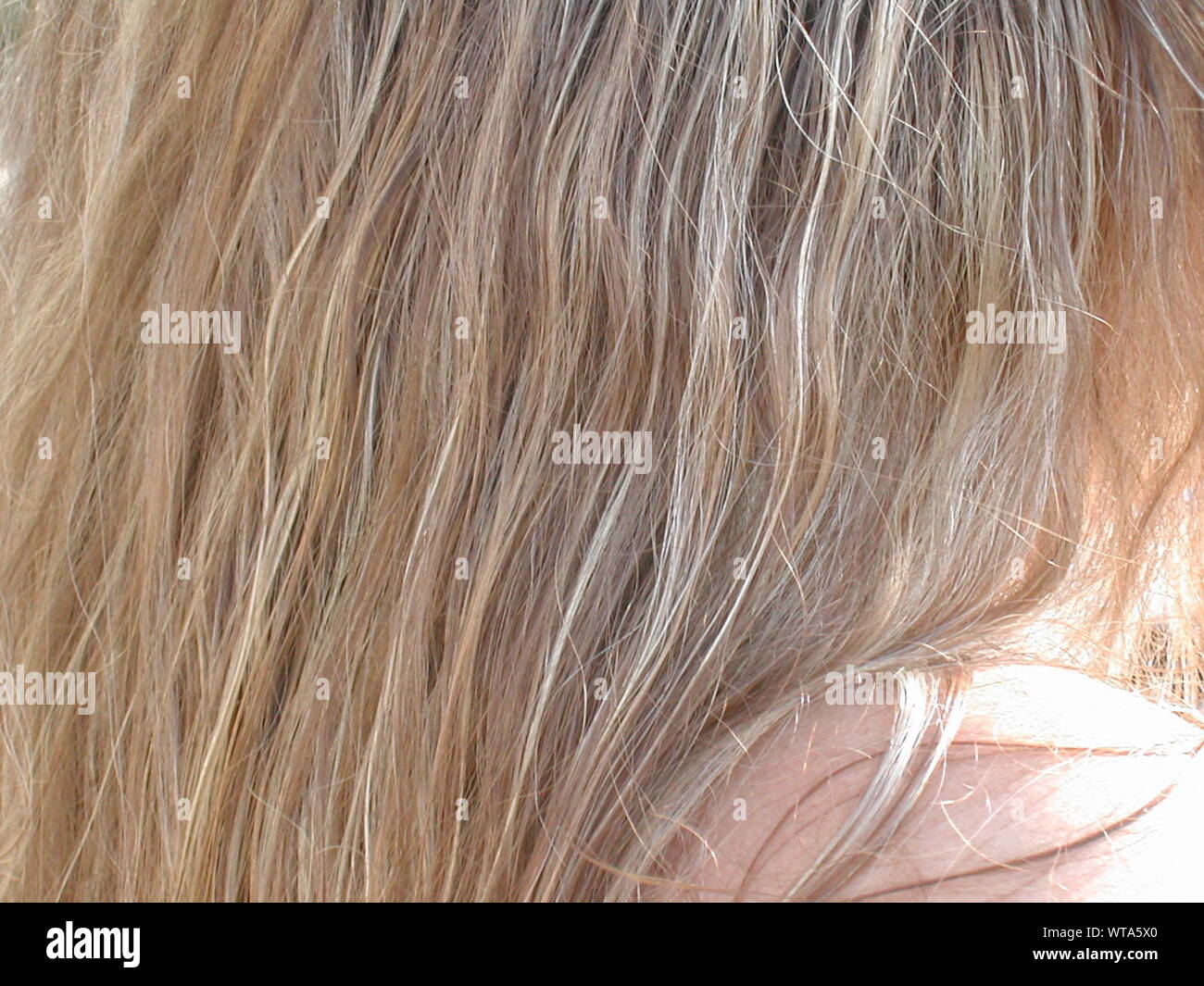 Close-up Of Human Hair Stock Photo