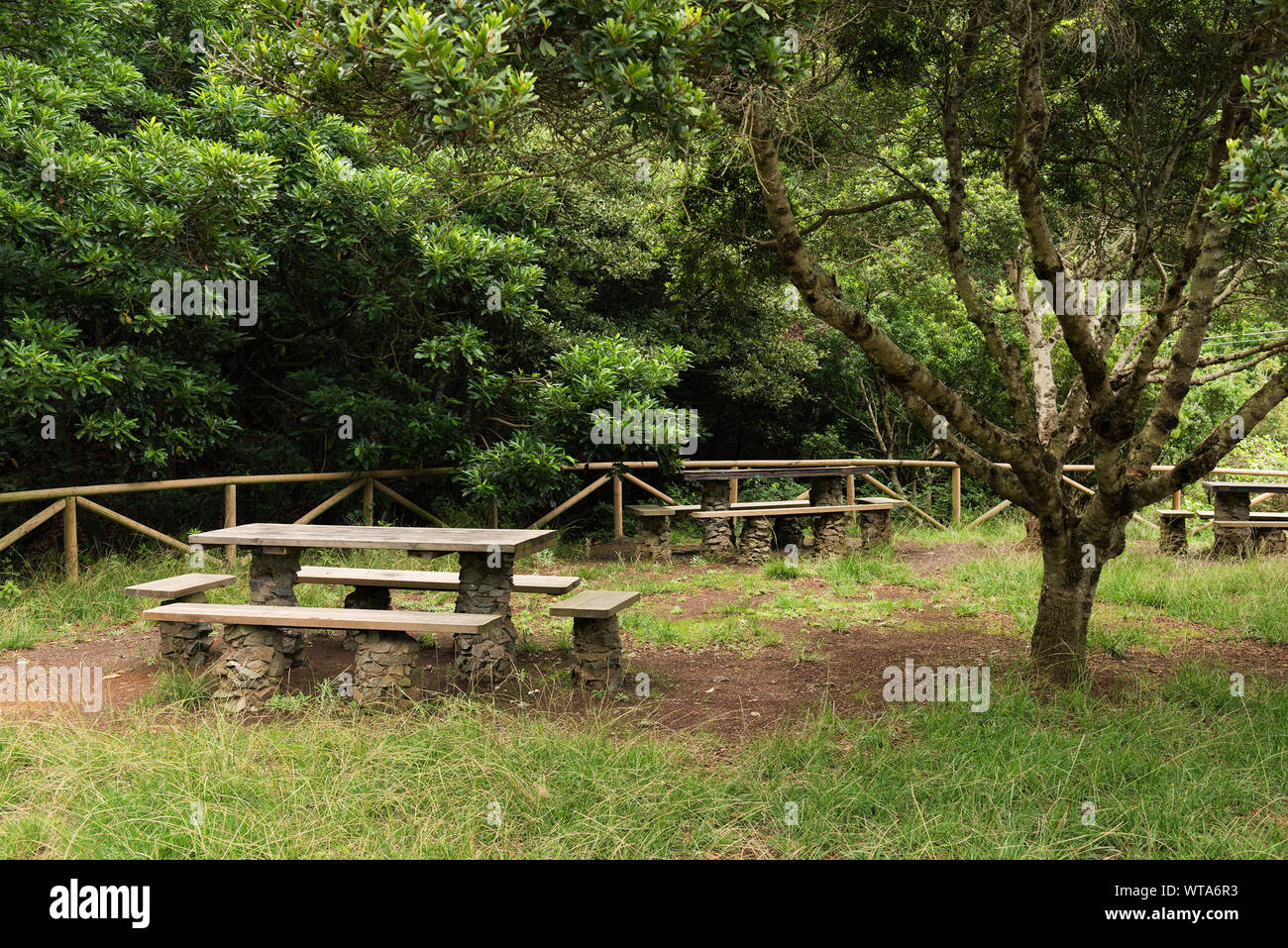 Empty Seats And Tables By Trees At Park Stock Photo