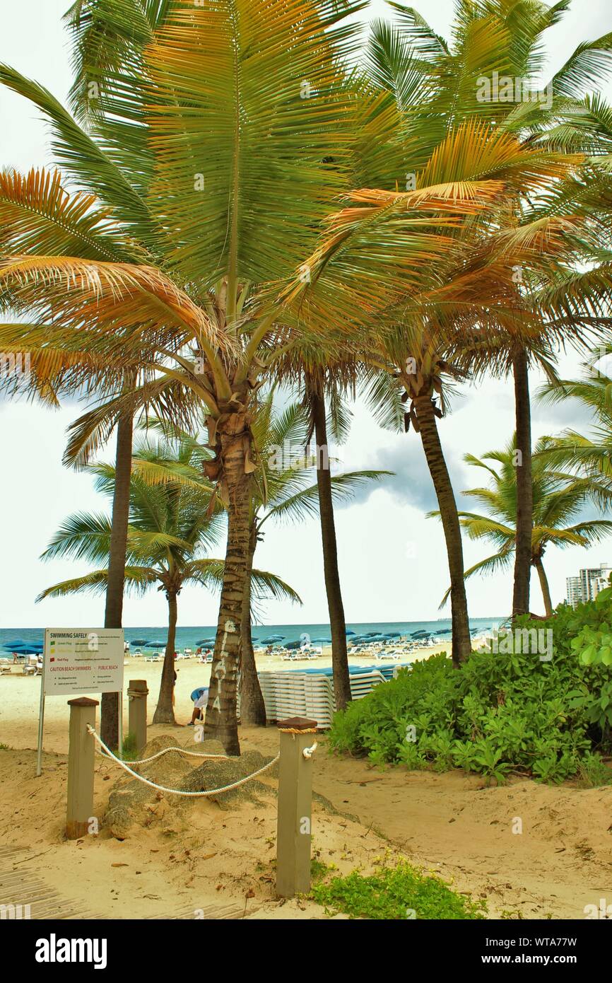 Entrance to the Condado Playa Concha public beach, close to Ashford Avenue, on the northern coast of Puerto Rico. Stock Photo