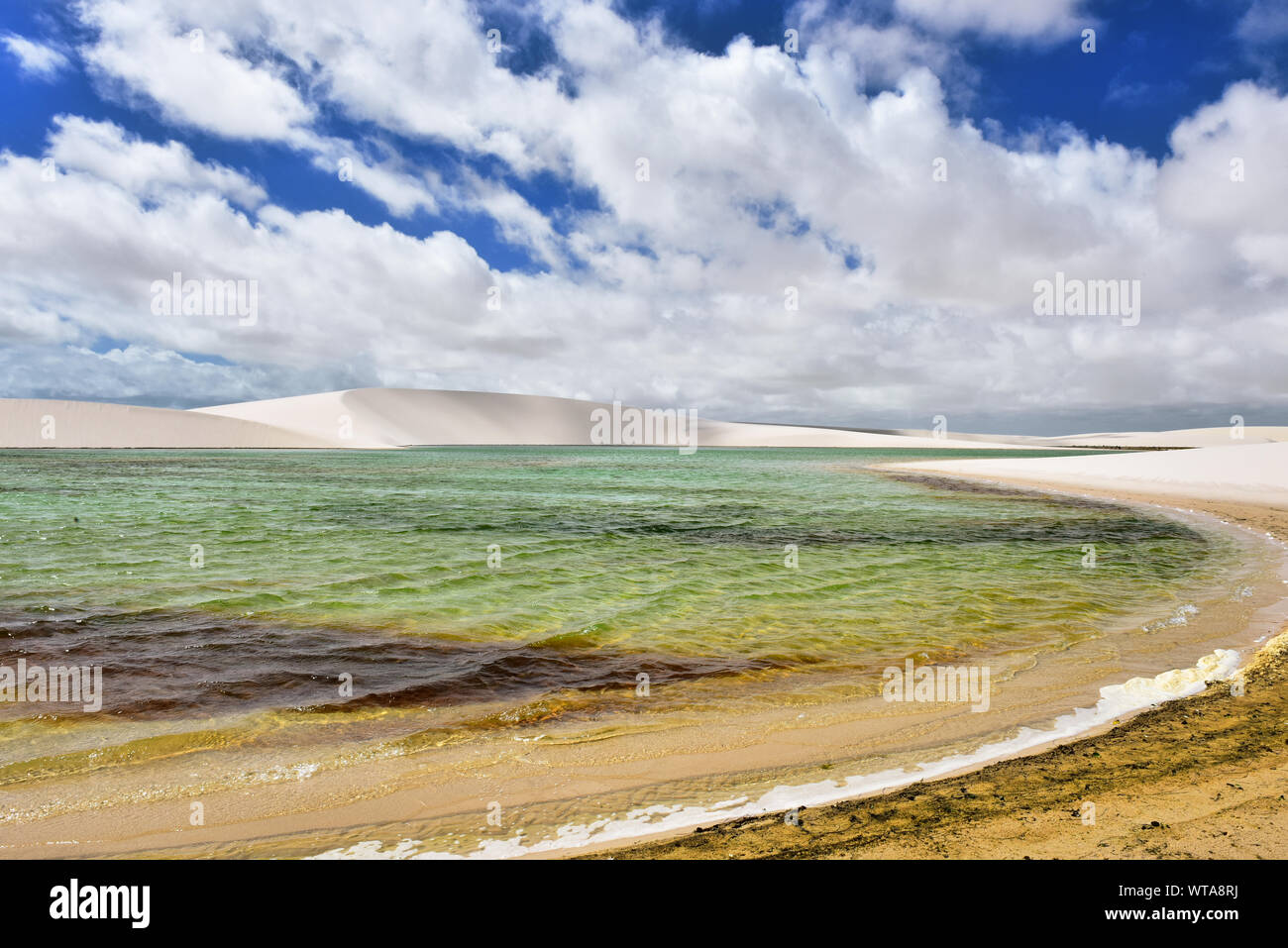 Dazzling green lake in the Lencois Maranhenses National Park Stock Photo