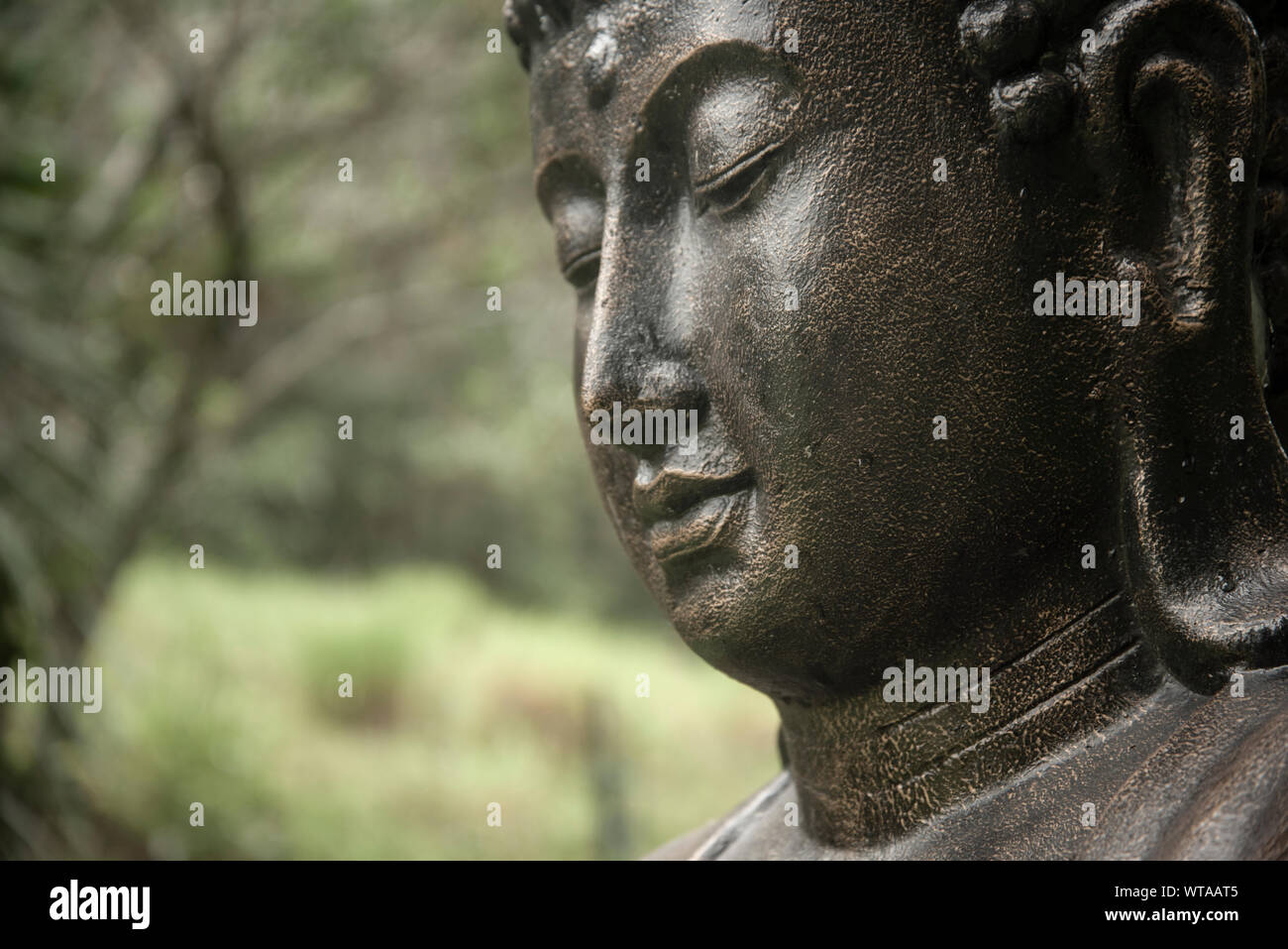 Buddha statue in a garden Stock Photo - Alamy