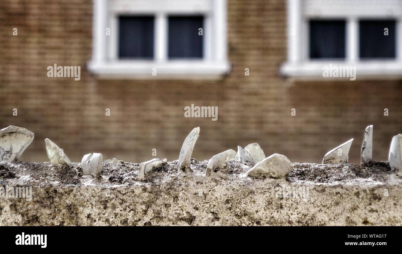 Broken Glass Shards On Wall Stock Photo Alamy