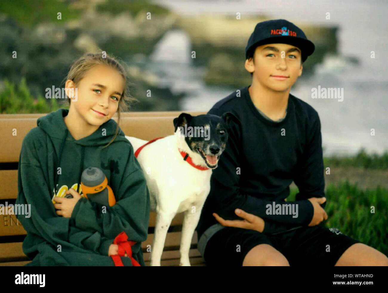 Portrait Of Siblings Sitting With Dog On Bench Stock Photo